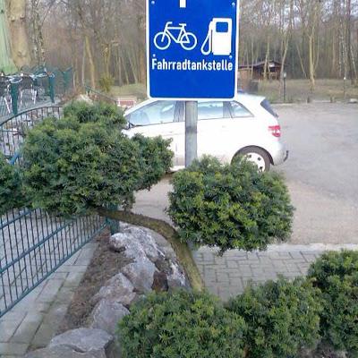 Hotel Eichenhof - Galerie