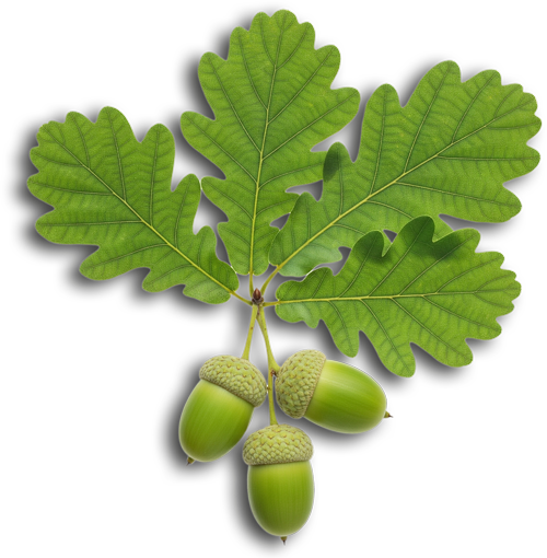 eichenhof-reken-borken_500_var