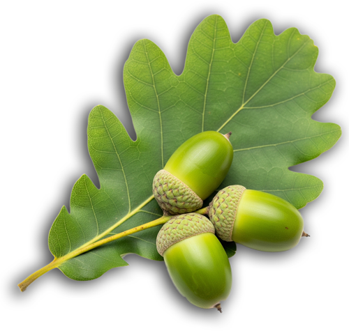 eichenhof-reken-borken_500ein